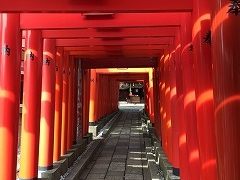 chakǎא_Ђւ̓eʐ^3