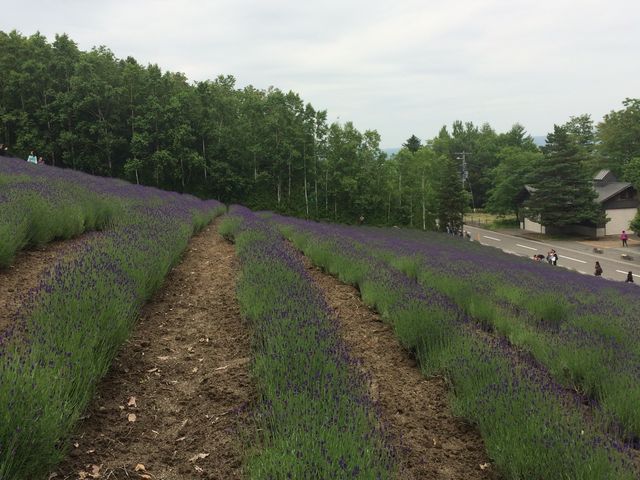 ���x���_�[_���x���_�[��