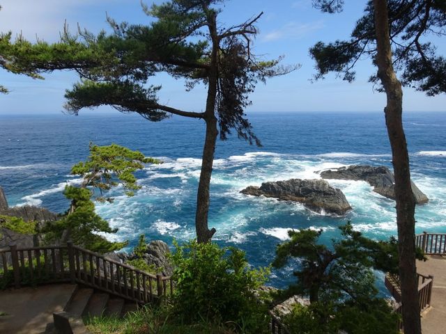 pon񂳂̌ΊCݗV̓eʐ^3