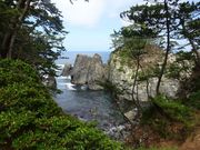 pon񂳂̌ΊCݗV̓eʐ^1