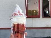 ۂ񂽂̔_Ƃ̒@Riy̓eʐ^1