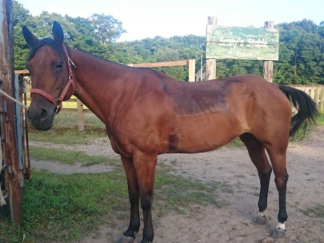 񂳂̃Tj[YXe[u̓eʐ^1