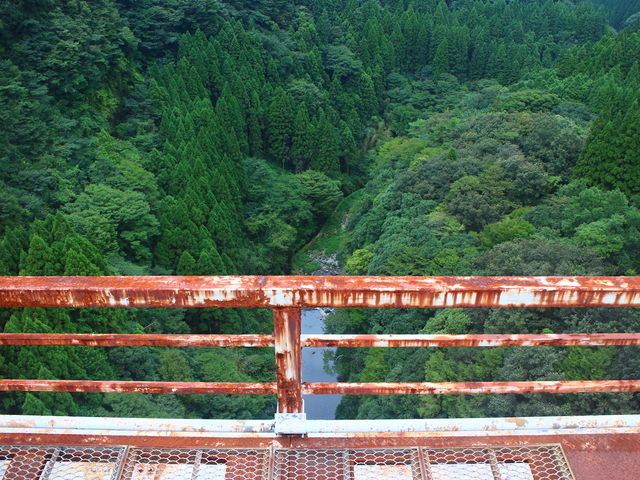 �S������̌i�F�͏����|�������I�H_����䂠�܂Ă炷�S���i�� �����w�\���j