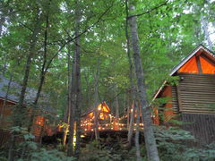 ݂̃VbsO[hujOeXvւ̓eʐ^1