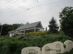 َ݂̉qH[tmfXւ̓eʐ^1