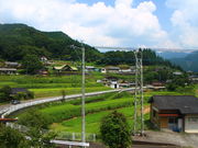 ���[������̖�ؗ����@�c�̉Ԃ̓��e�ʐ^1