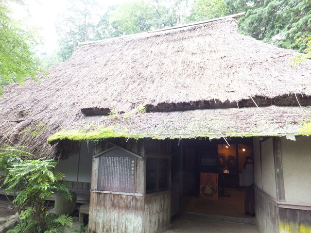 �����c�ƁF���͔E�Ҋ֘A�̔����قɂȂ��Ă��܂��B_�b��̗��E�p��