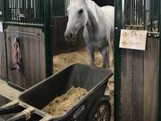 䂫̎O؃z[Xhp[N̓eʐ^1