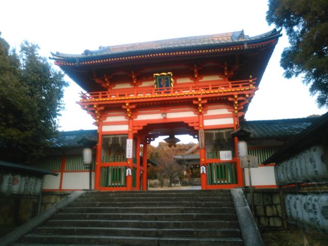 �O��_�V���g�_�{