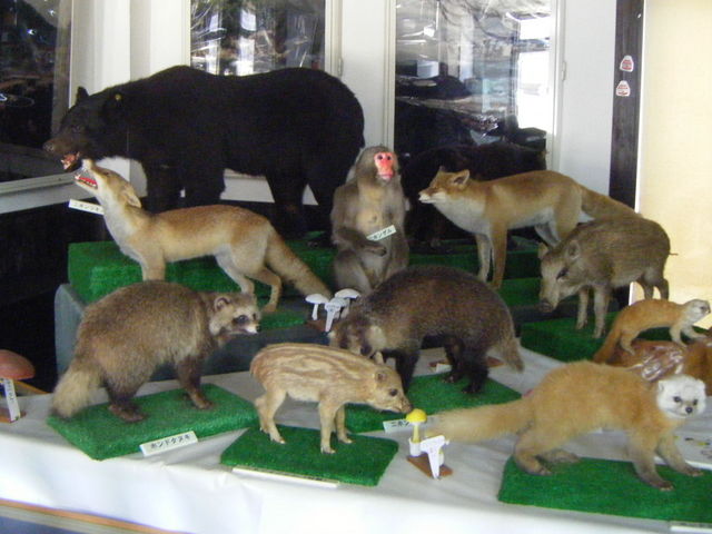 tuka̕C(CEbhp[N)̓eʐ^1