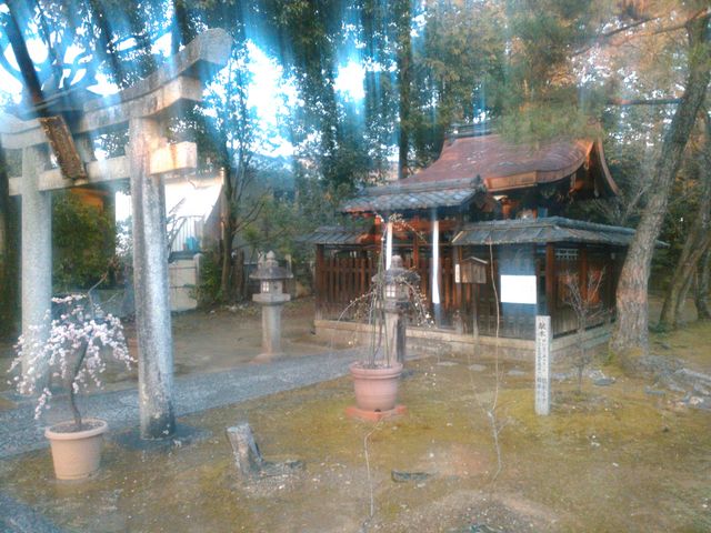 ��~�V���{_�V���g�_�{