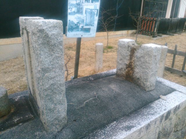 �ߖC�̑��_�V���g�_�{