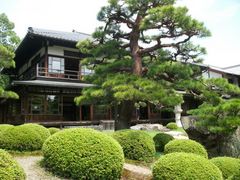 �W���j��������̒��l�~�~�W�ւ̓��e�ʐ^1