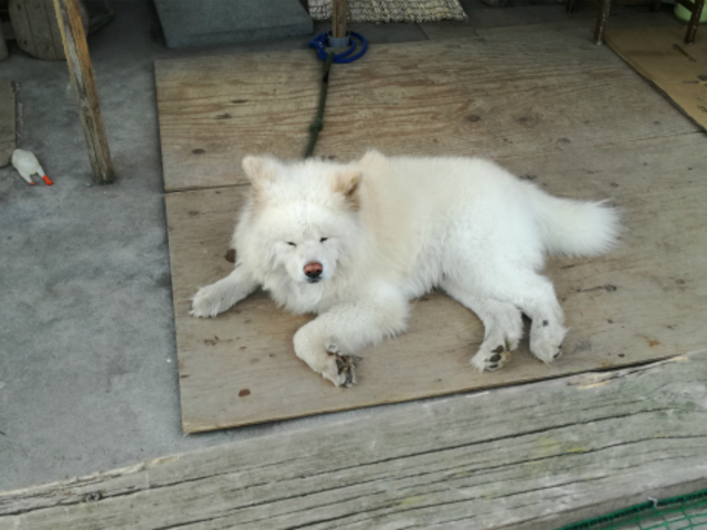 �s������K����������Ƃ͌���Ȃ��Ŕ��B_�����⏤�X