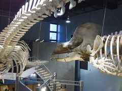 �`������̌~�ƊC�̉Ȋw�قւ̓��e�ʐ^1