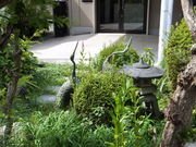 ڂ炳̔mԋ([)̓eʐ^2