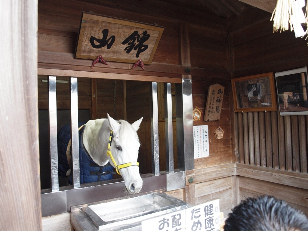 桑名市の神社 神宮 寺院ランキングtop10 じゃらんnet