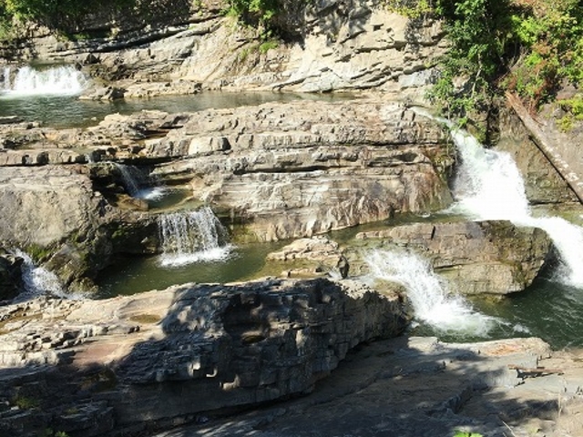 ��_�O�i��