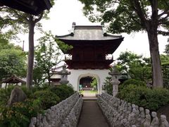 �݂�����̏捑���ւ̓��e�ʐ^1