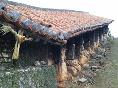 kijimunar̂₿ނ̗ւ̓eʐ^1