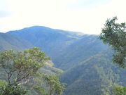 kijimunar̗^ߔex̓eʐ^1