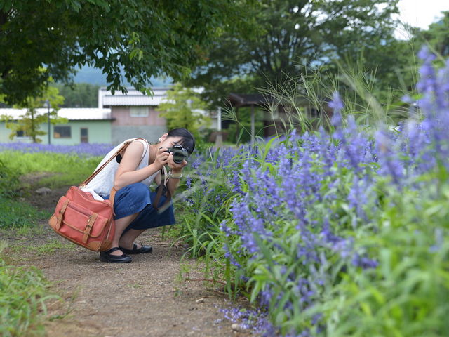 Ԕ̒̓Vb^[`X_ܖ삿Ђ Ԓd