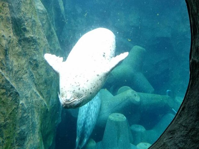 �K�������܂����B_���R������