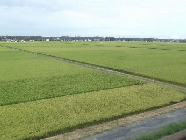 �ԑ�����_�����ՊC�S����􎭓����u���w�v