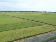 񂳂̎ՊCS􎭓uwv̓eʐ^5