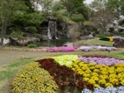 ɂ񂳂̃t[K[fԂ̓eʐ^1