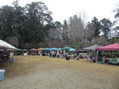 �J�I������̋A�S�R�����Ɩ쒆���R�������ւ̓��e�ʐ^1