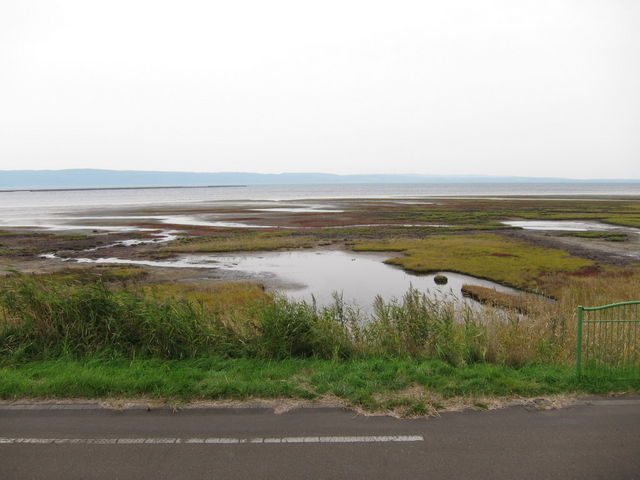 �\��ΌΔ�_�\�斦�C��