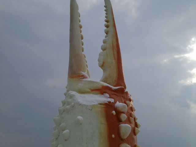 �f�J�C_���̉w �I�z�[�c�N���