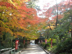 油山寺の写真一覧 じゃらんnet