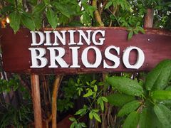 ͂͂͂邳Dining BRIOSO _CjO uIb\ւ̓eʐ^1