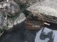 とくちゃんさんの野沢温泉の麻釜と野沢菜洗いの投稿写真4