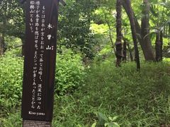 Kuda12����̖ؑ]�R�i���ΐ��y���j�ւ̓��e�ʐ^1