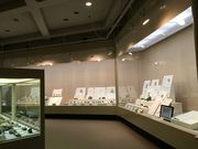 wahahå򕌌ق̓eʐ^4