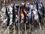 Ђł̓tBbVOp[N̓eʐ^2