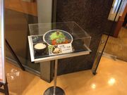 ~N̂Ƃ񂩂 ȂΘaK WXRc_X̓eʐ^1