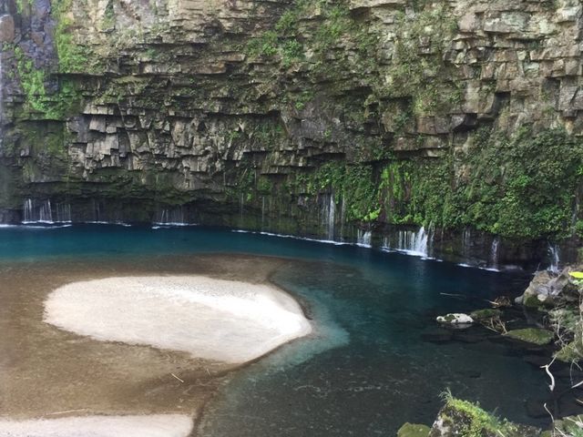 �Y��̑�_�Y��̑�