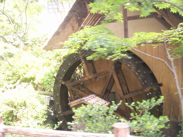 ekko����̐[�厛���Ԋق̓��e�ʐ^1