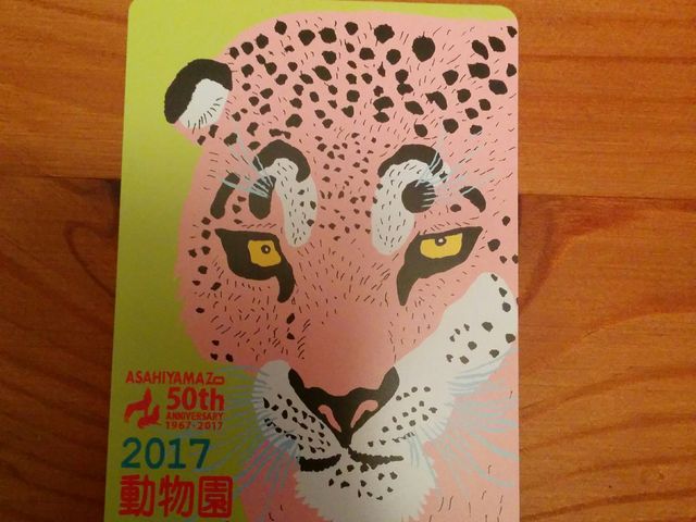 �N�p�X_���R������