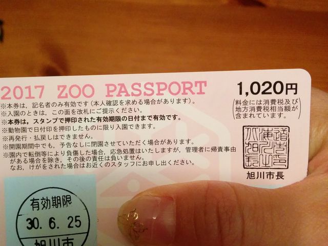 �N�p�X��_���R������