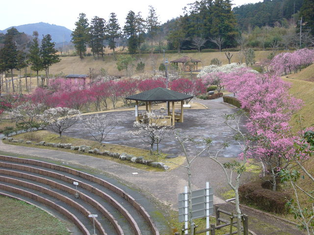 ܂܂̖{ؐ쎩R ق̗̓eʐ^1