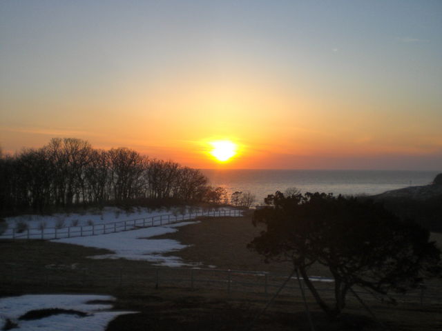 �����m�ɒ��ޗ[��_�V�����򃌁E�R�[�h�̓�