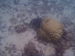 悵̃ANAhbvւ̓eʐ^1