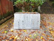 ڂ炳̔mԋi_Ёj̓eʐ^1