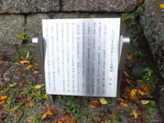 ڂ炳̔mԋi_Ёj̓eʐ^2