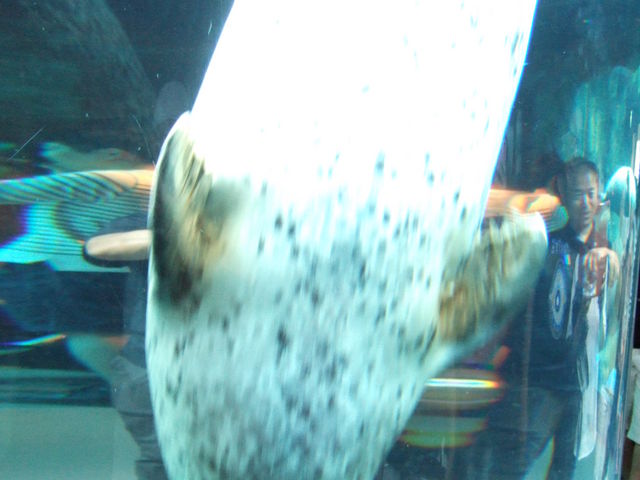 �����炵��_���R������